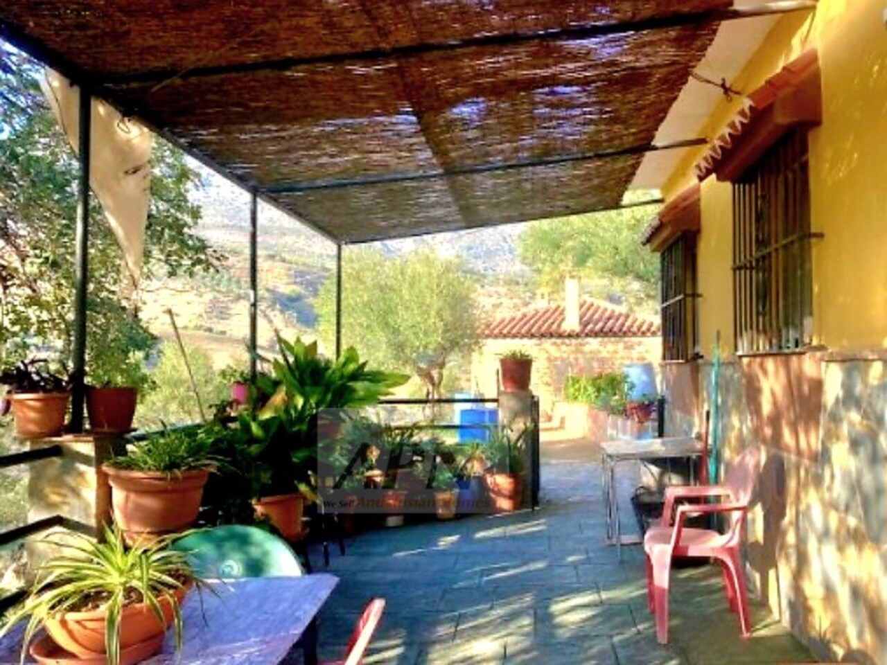 Property Image 4