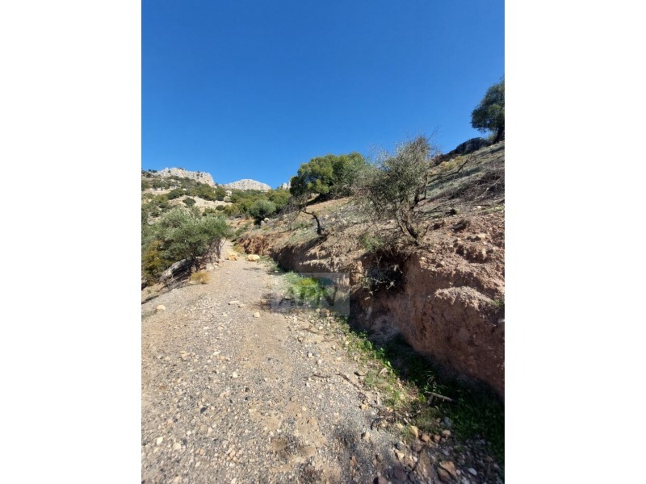 Property Image 2 Property Image 2