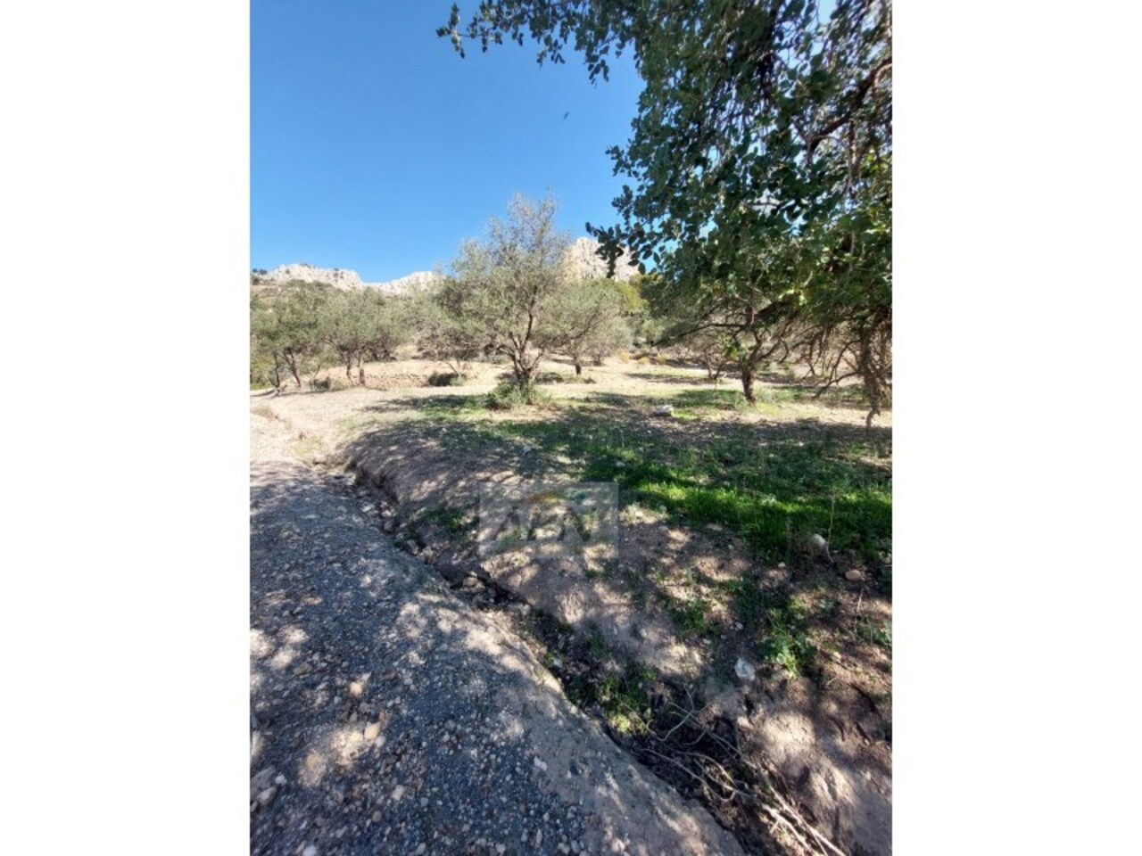 Property Image 3 Property Image 3