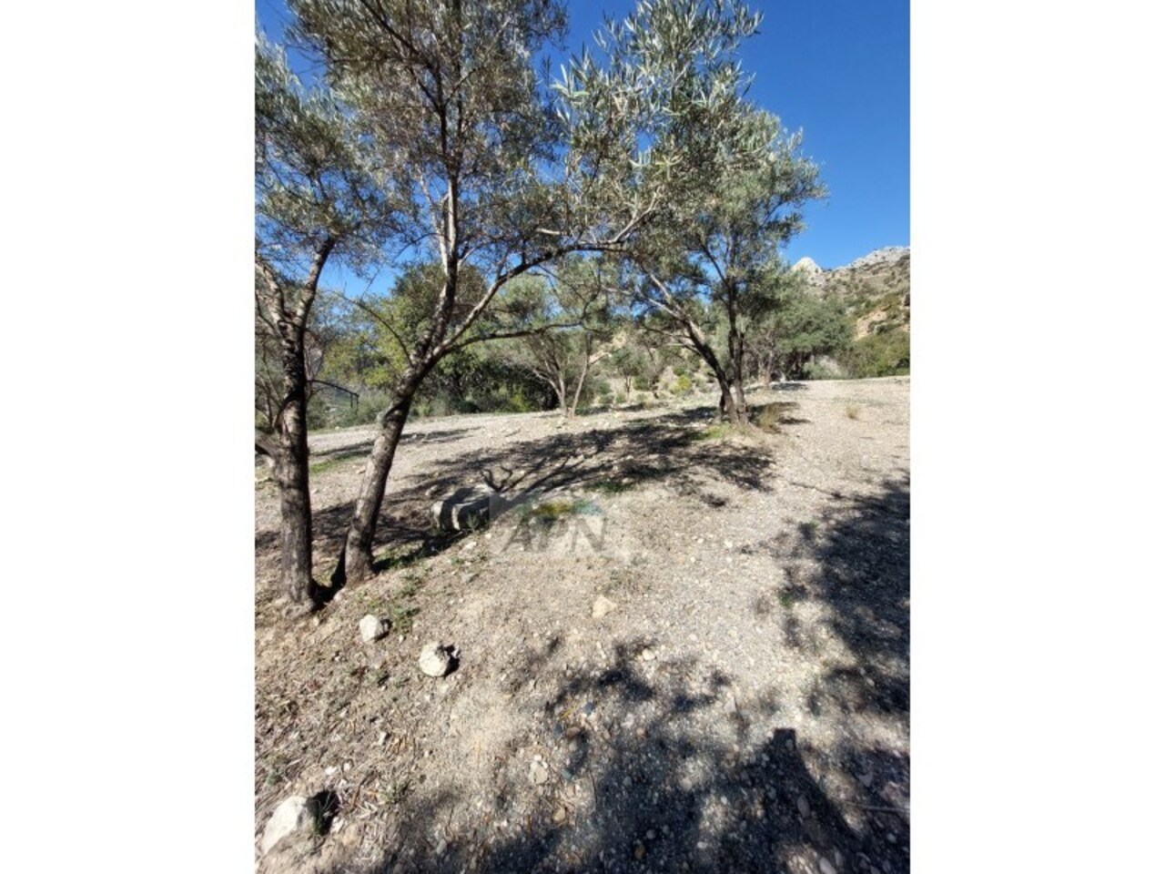 Property Image 4 Property Image 4