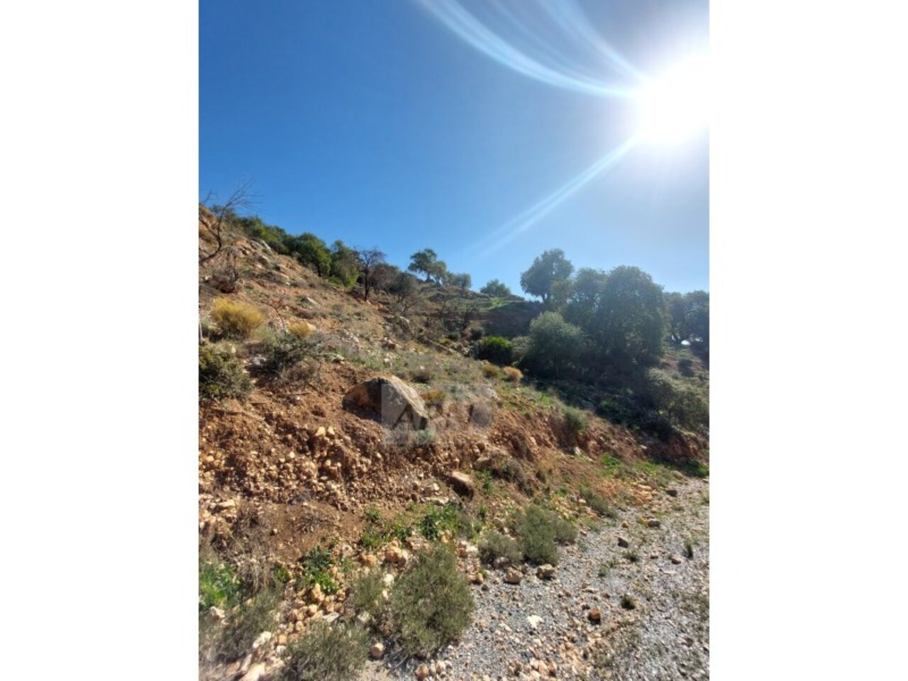 3 Bedroom Country House for Sale in Alora