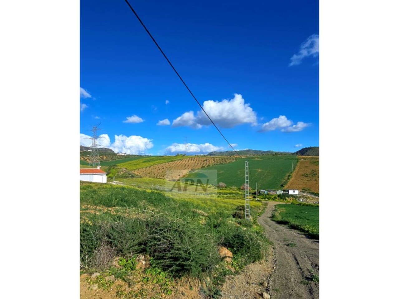 Property Image 1 Property Image 1