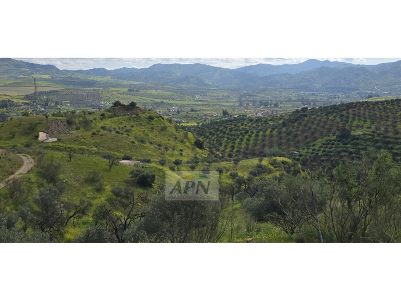 Property Image 1 Property Image 1