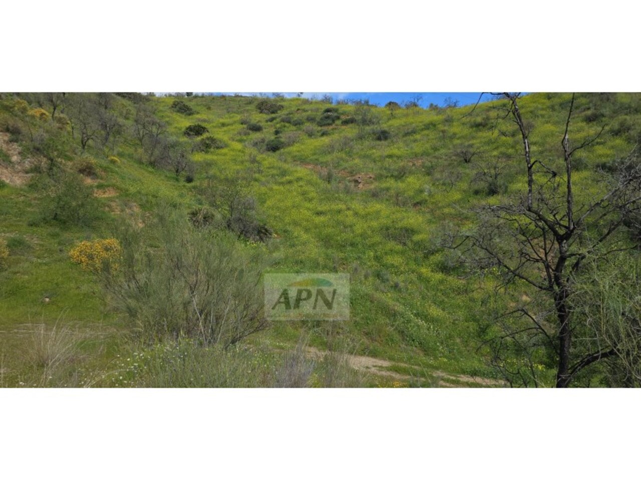 Land And Plots for Sale in Alora