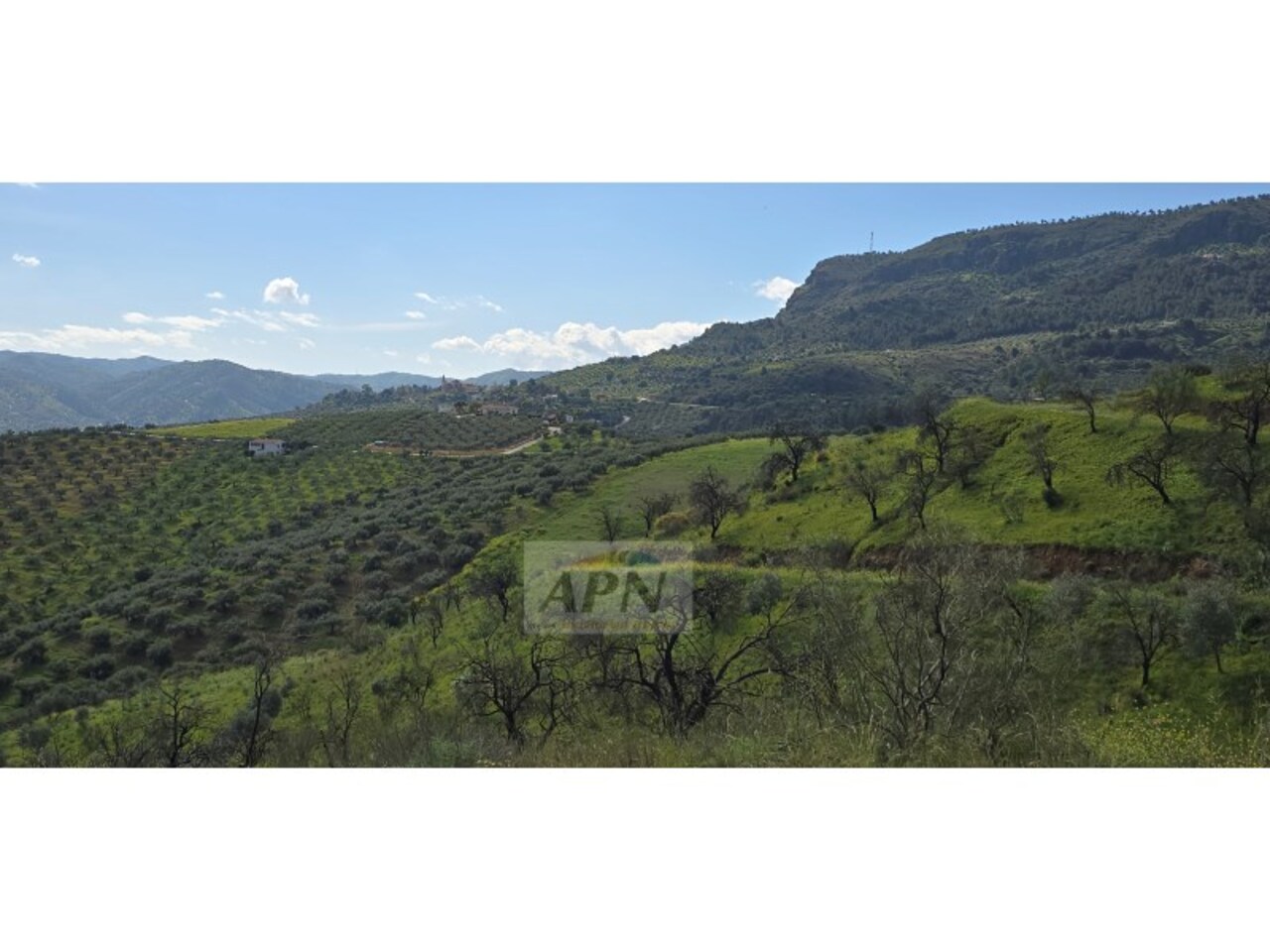 Land And Plots for Sale in Alora