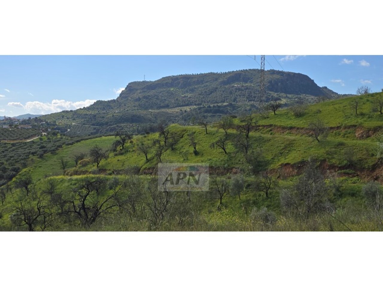 Land And Plots for Sale in Alora
