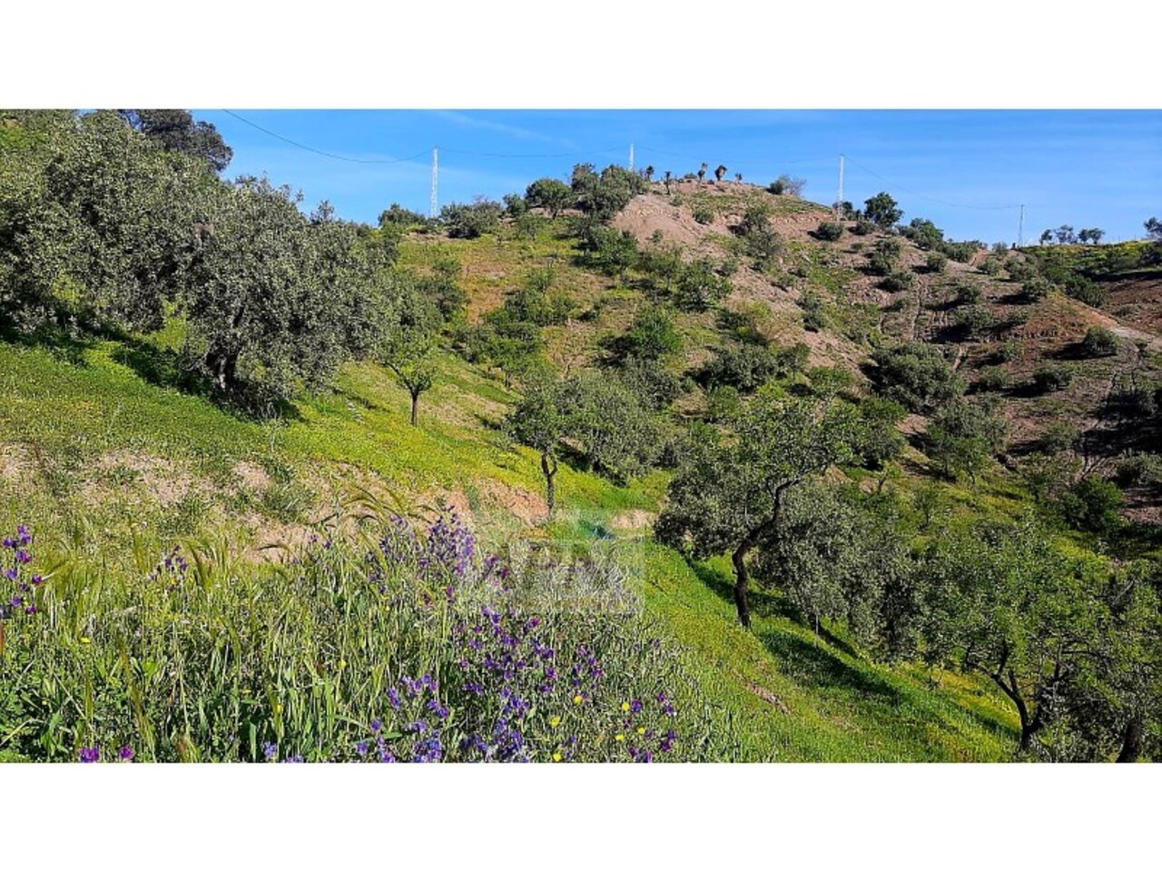 Property Image 1 Property Image 1