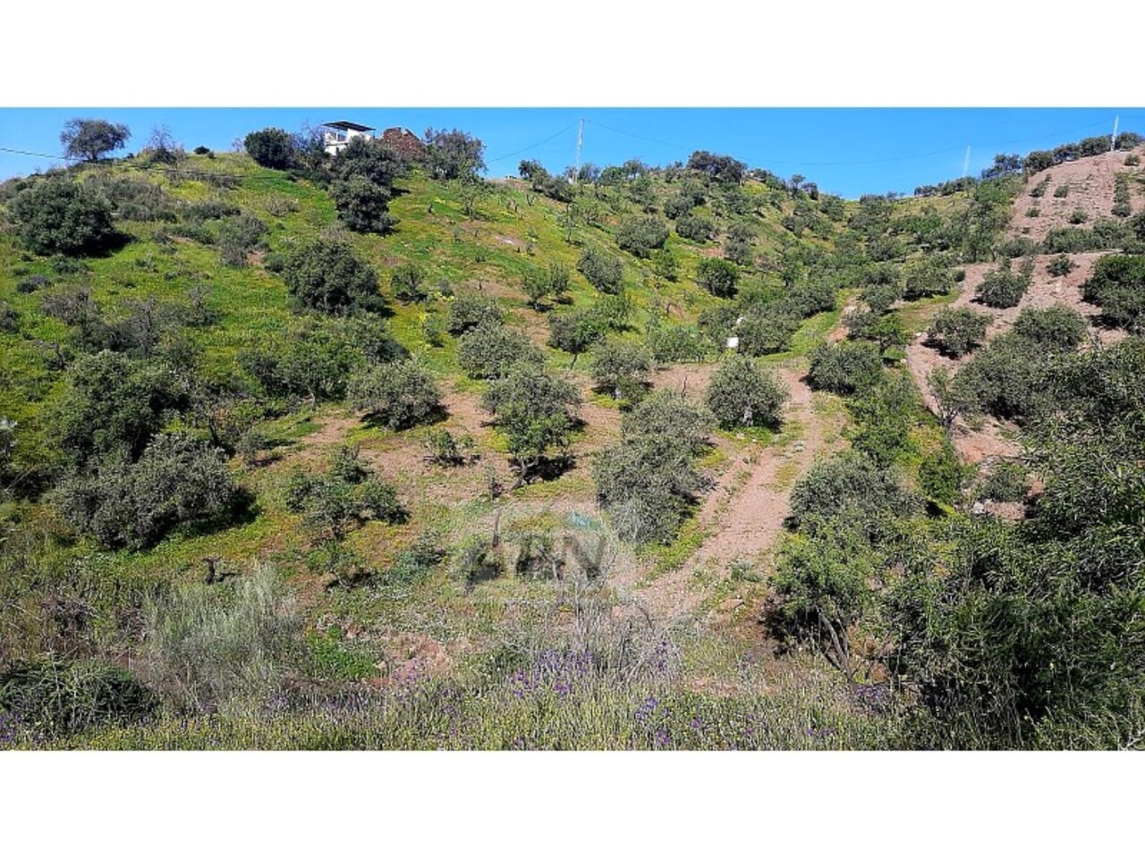Property Image 3 Property Image 3