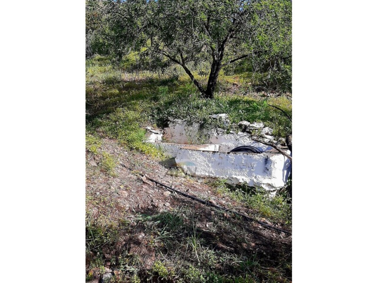 Property Image 4 Property Image 4