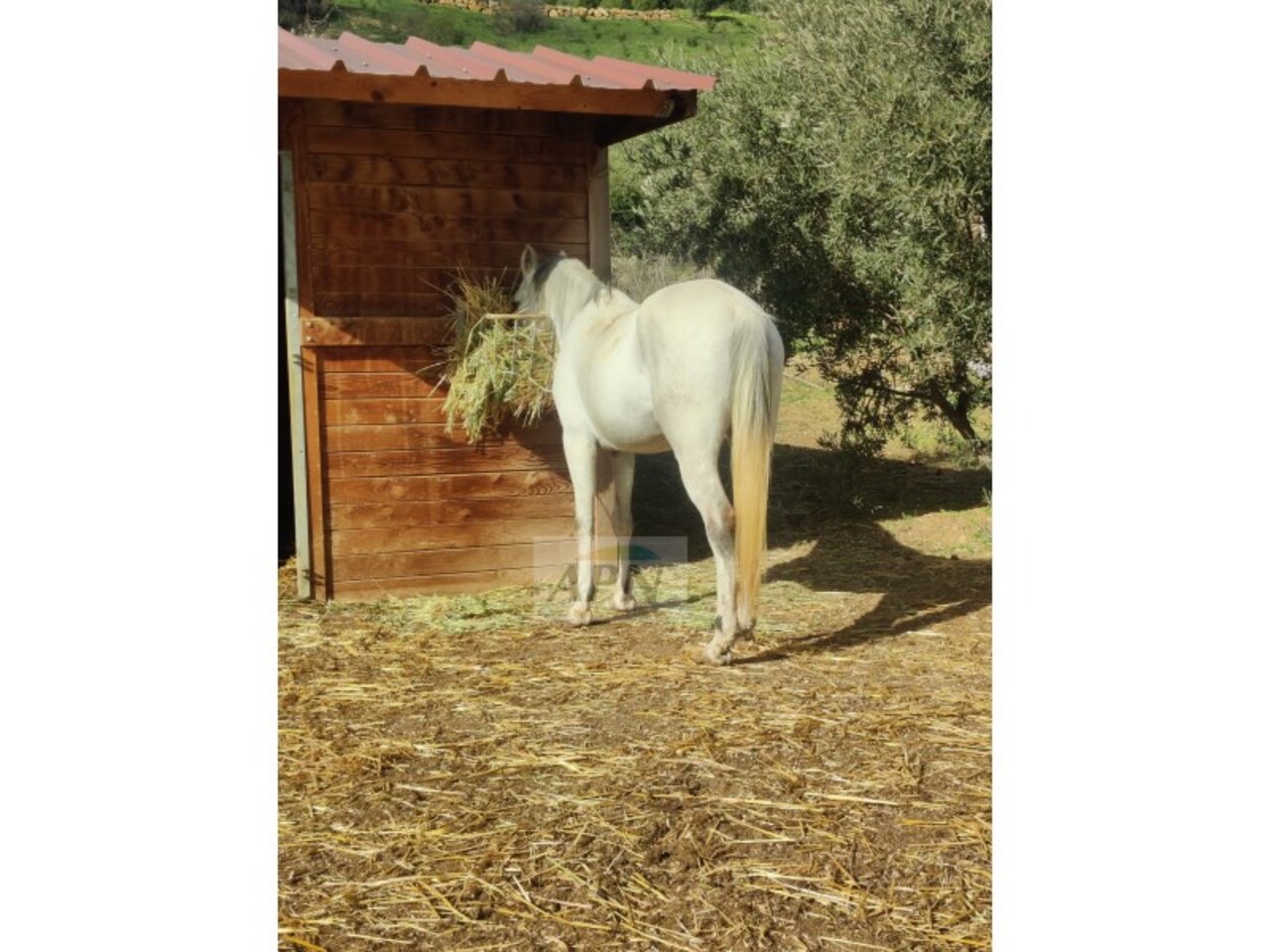 Property Image 1 Property Image 1