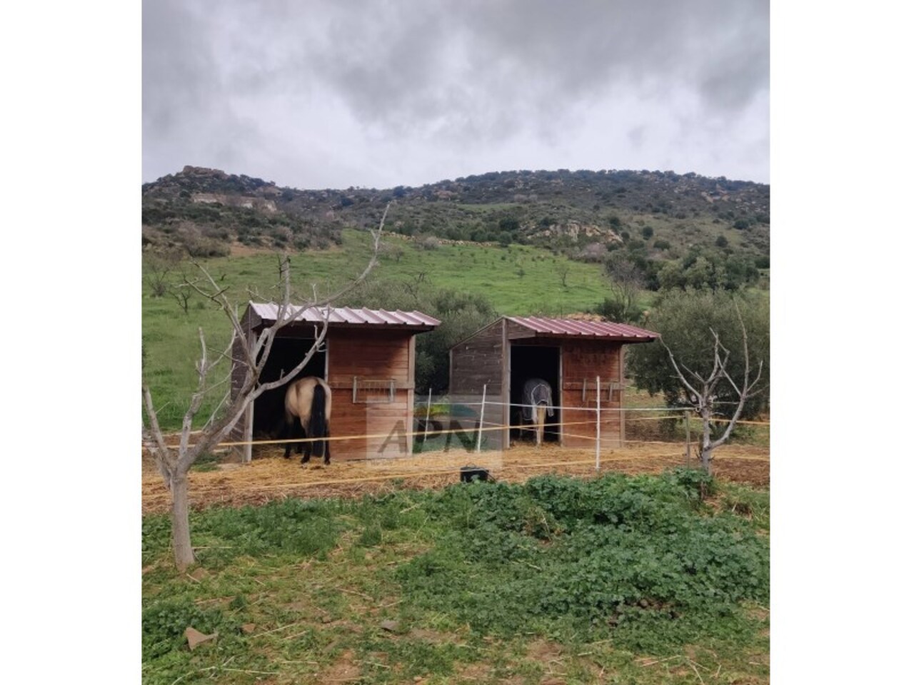 Property Image 2 Property Image 2