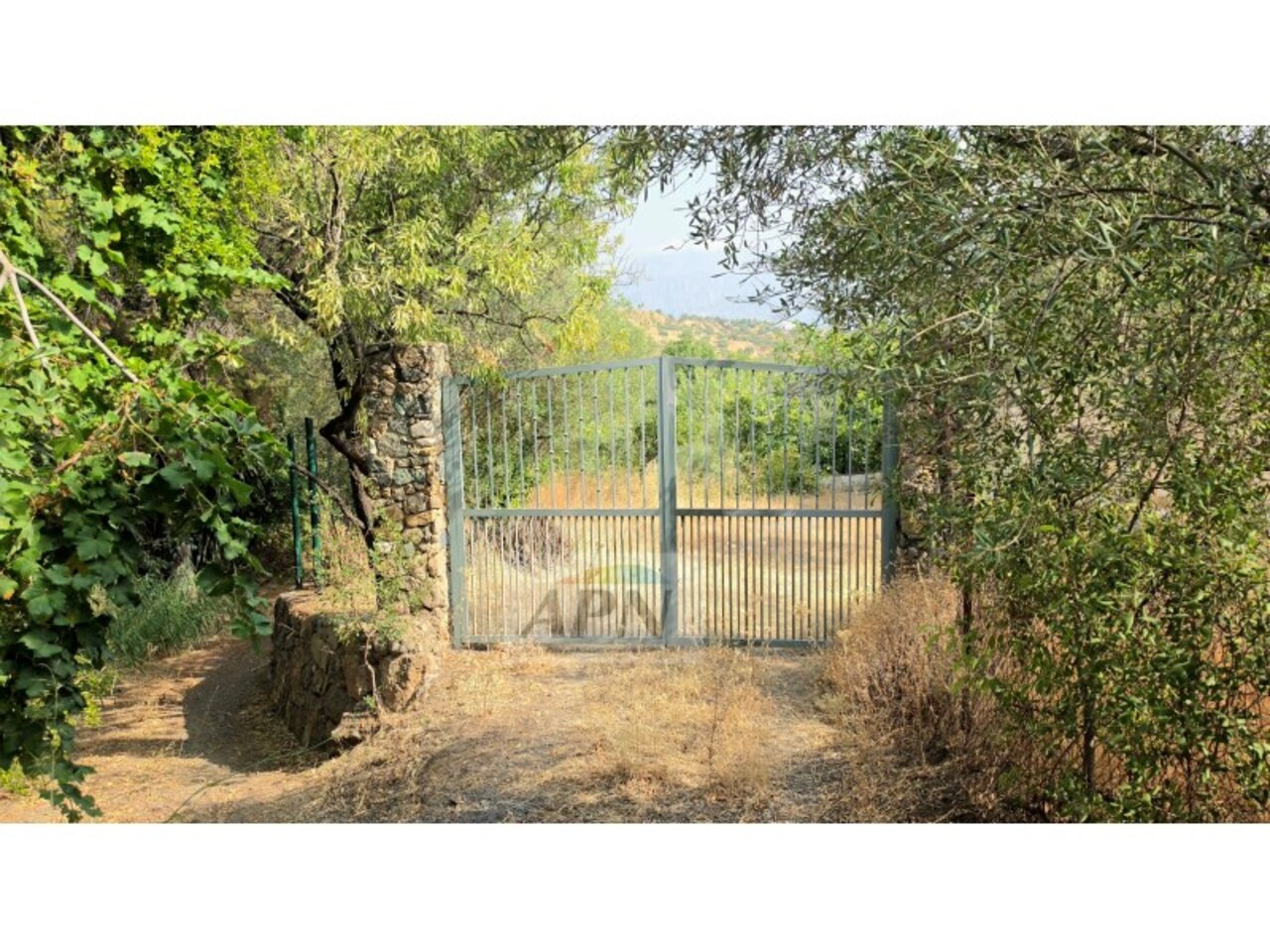 3 Bedroom Country House for Sale in Alora